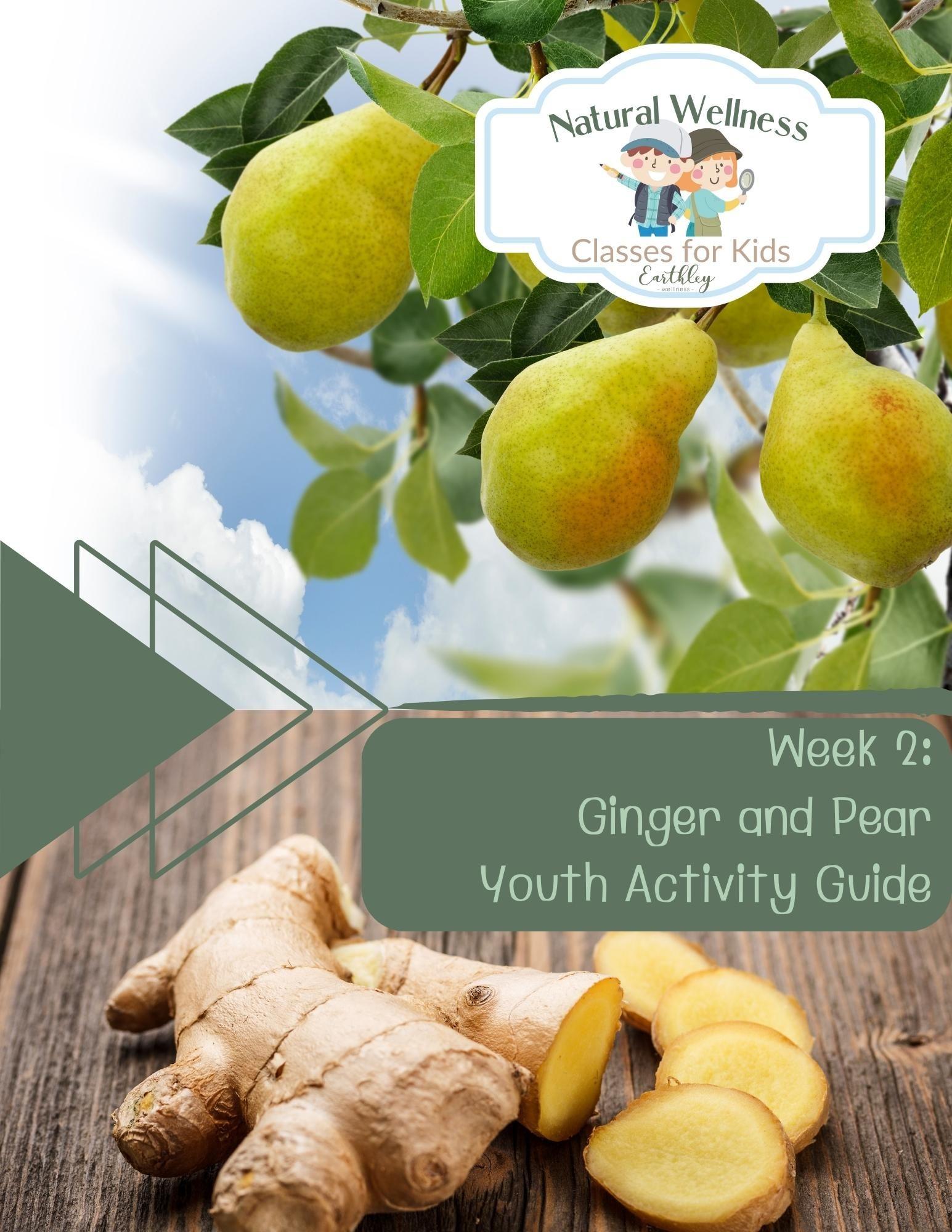 Natural Wellness Classes for Kids Week 2 Ginger and Pear Youth Activity Guide cover featuring green yellow ripe pears on branch with green leaves against blue sky with white clouds and tan ginger root with yellow slices on dark wooden surface with sage green diagonal stripes