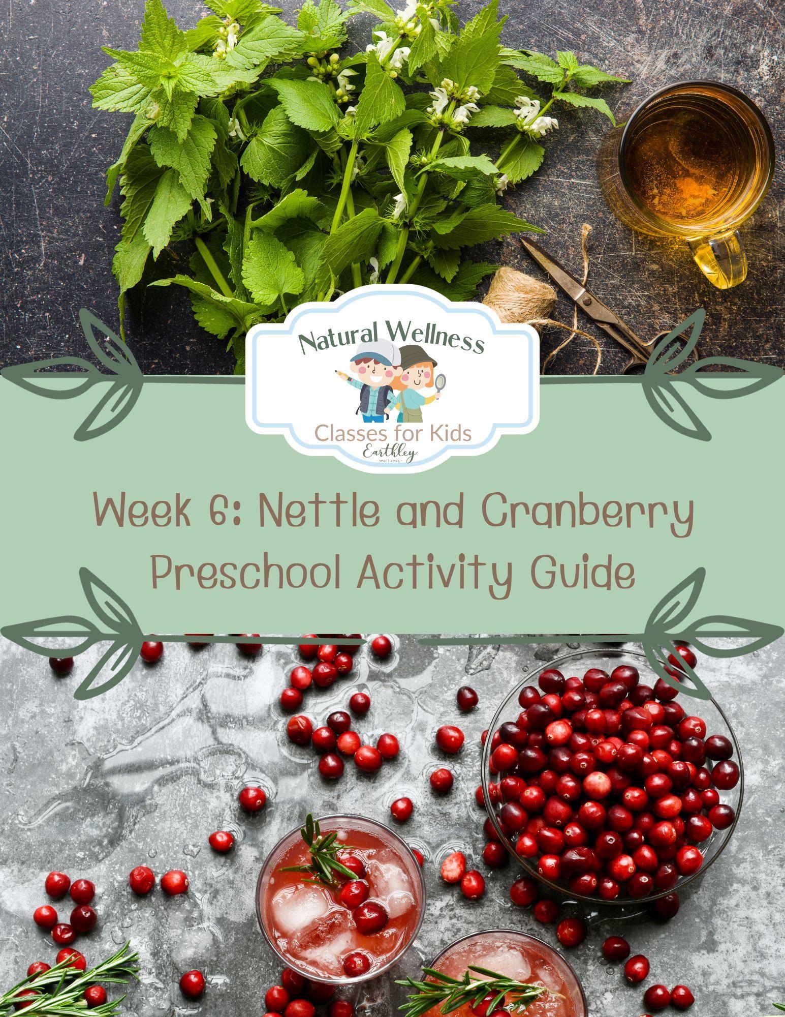Earthley Nettle Cranberry Activity Guide Preschoolers cover with green nettle leaves and red cranberries on cream background