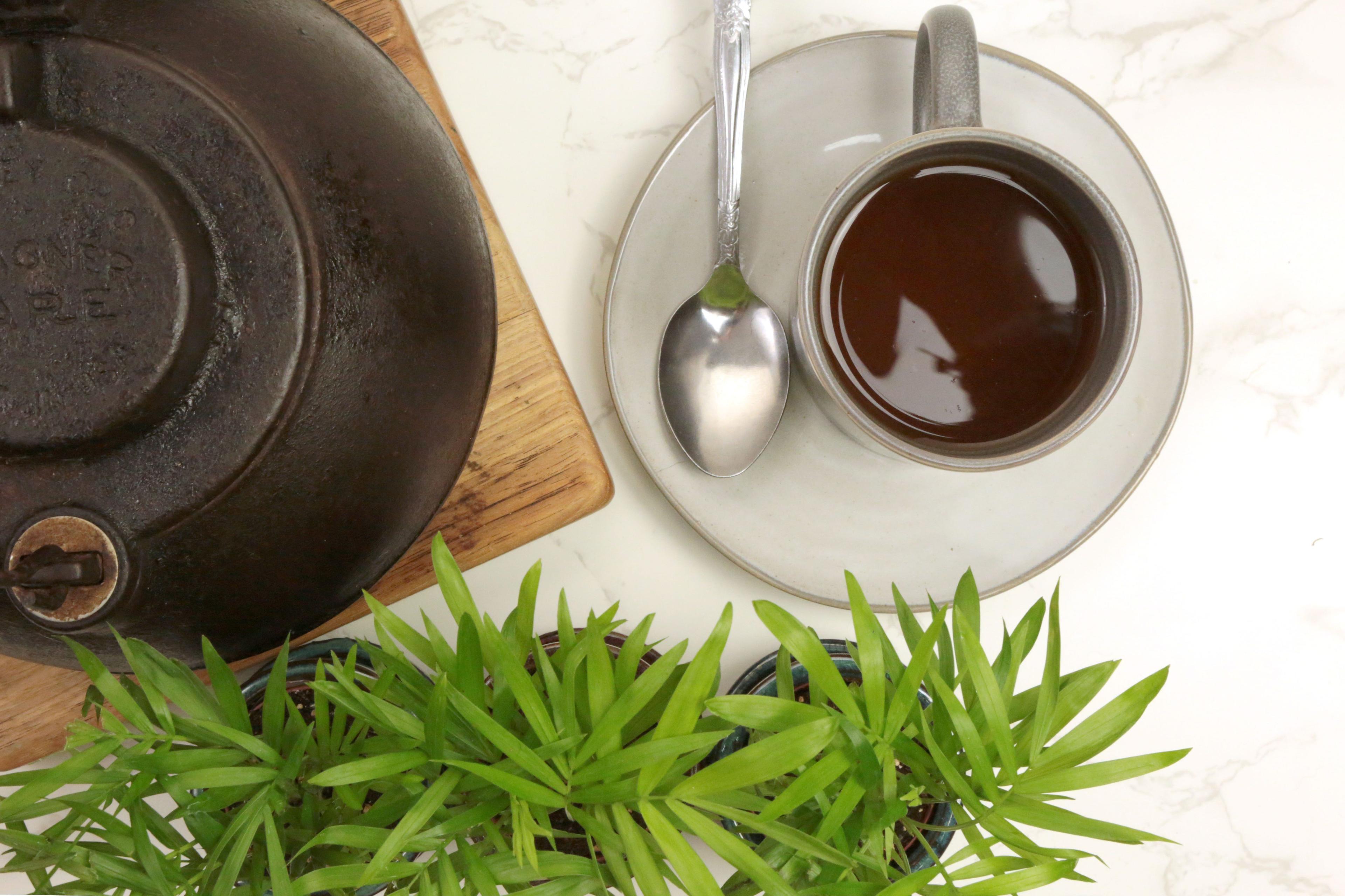 Cup of dark spice tea on saucer with cast iron teapot and green plant