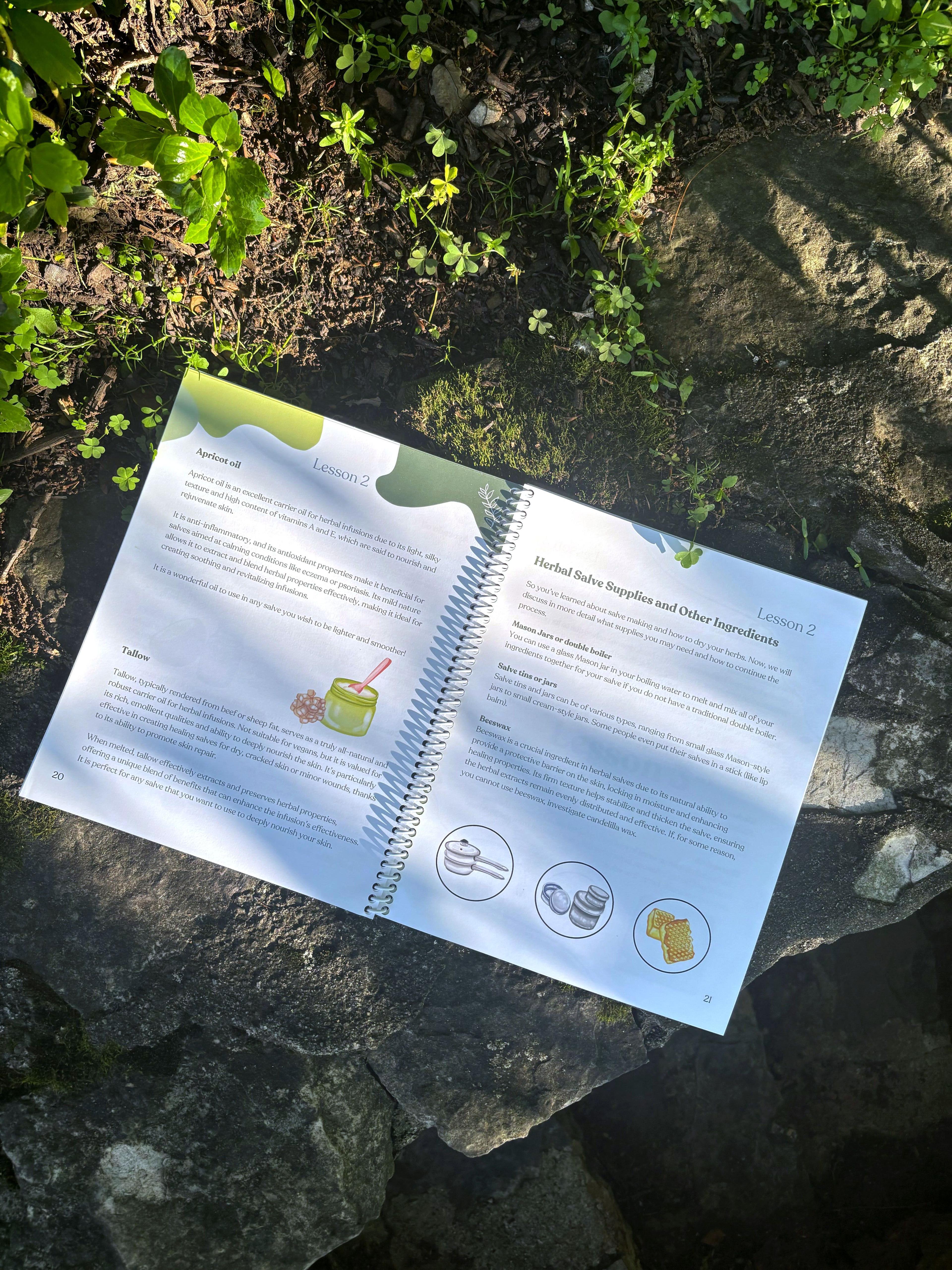The Green Family Backyard Salves childrens book Lesson 2 page spread about Apricot Oil and Herbal Salve Supplies with ingredient icons on mossy stone outdoors