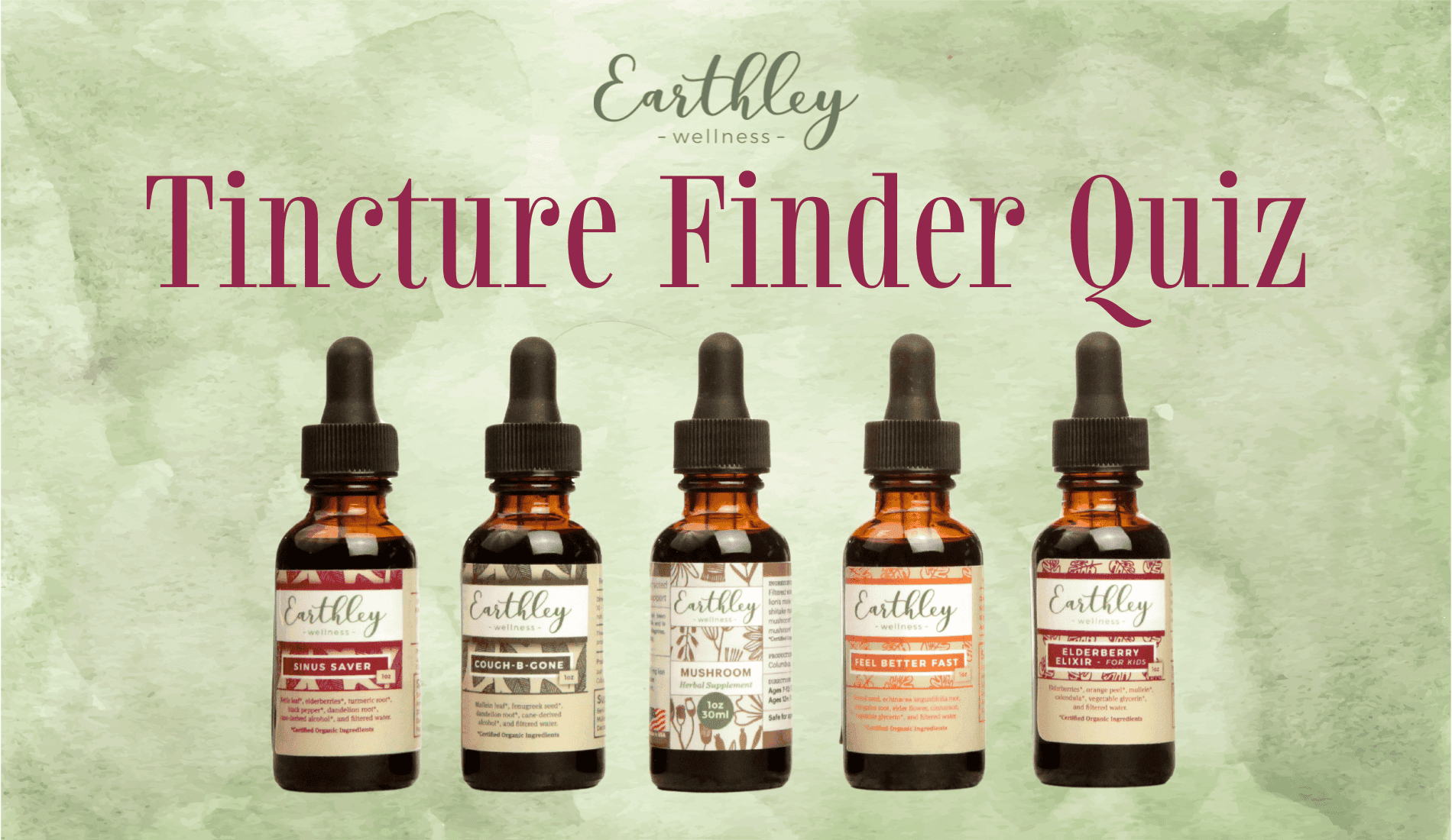 Tincture Finder Quiz promotional graphic with sage green watercolor background showing five amber dropper bottles with various Earthley labels arranged in row with Earthley Wellness logo