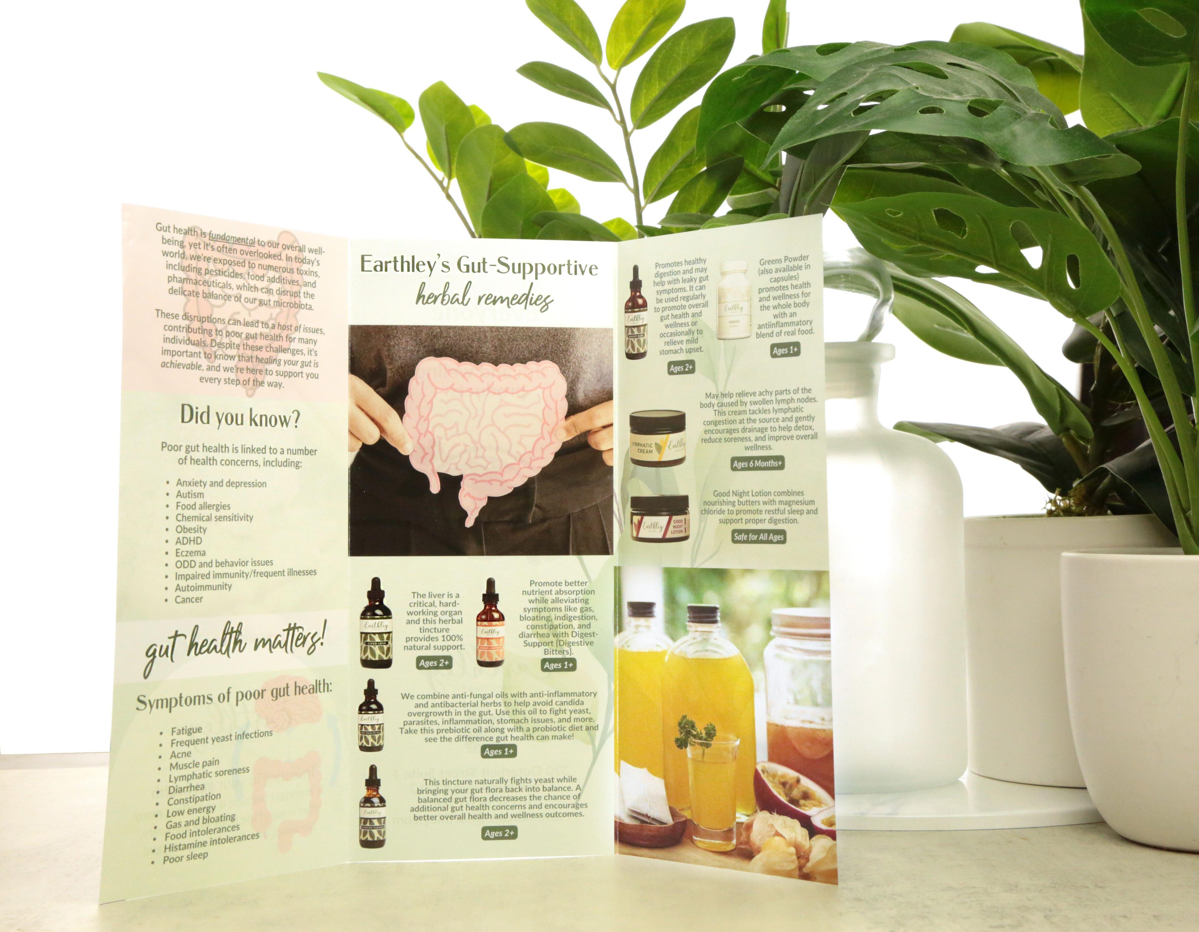 Earthley Gut-Supportive Herbal Remedies wholesale brochure interior spread showing amber tincture bottles amber jar yellow kombucha drinks and product descriptions on green and white design with pink intestine illustration and green plants